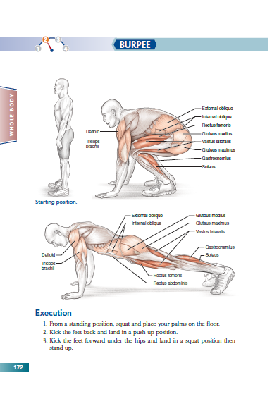 bodyweight strength training anatomy pdf